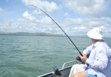 Owen Sound Salmon Spectacular about to begin