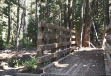 Come for the Art – Come for the Entertainment