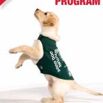 guide-dog-brochure.jpg