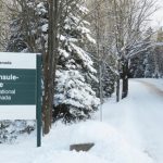 Bruce-national-park.jpg