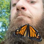 Obin-with-a-butterfly-in-beard-150×150.jpg