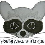 thumbnail_image-2-150×150.png
