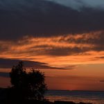 DSC_0533resize490.jpg