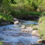 Wesleyville-Creek.jpg