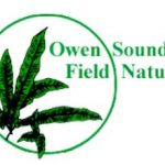 logo (2)