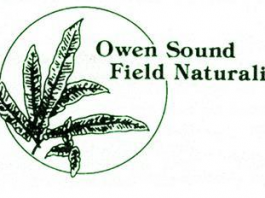 OSFN Newsletter – March, 2026