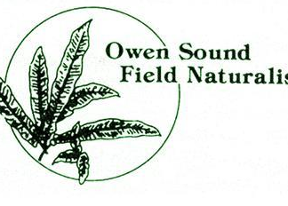 OSFN: Newsletter – June, 2026