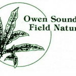 OSFN