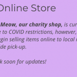 Animal Shelter Cats Meow 1