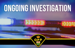 OPP: Arran-Elderslie search warrant results in drugs, vehicles and firearms seized