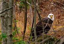 Local VanDorp family donates 46-hectare property to Nature Conservancy of Canada