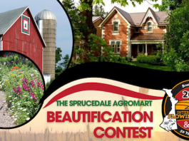 IPM Beautification Contest now officially open